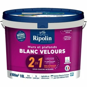Pintura de Imprimación Ripolin